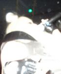 1_28629.jpg