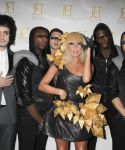 Filename=lady-gaga-030.jpg
Filesize=44KiB
Dimensions=600x400
Date added=Dec 19, 2008 lady-gaga-030.jpg