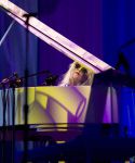 Filename=lady_gaga_017.jpg
Filesize=79KiB
Dimensions=901x600
Date added=Feb 09, 2012 lady_gaga_017.jpg