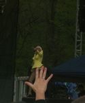 gaga_282529.jpg