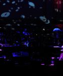 Filename=g_289329.jpg
Filesize=513KiB
Dimensions=3000x1983
Date added=Feb 13, 2018 g_289329.jpg