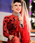Filename=lady_gaga_013.jpg
Filesize=75KiB
Dimensions=429x594
Date added=May 27, 2011 lady_gaga_013.jpg