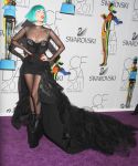 lady_gaga_095.jpg