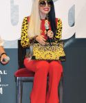 Filename=lady_gaga_068.jpg
Filesize=57KiB
Dimensions=383x600
Date added=Jul 04, 2011 lady_gaga_068.jpg