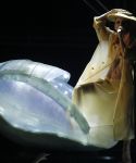 Filename=lady_gaga_020.jpg
Filesize=1203KiB
Dimensions=3000x2922
Date added=Feb 14, 2011 lady_gaga_020.jpg