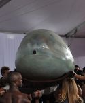 Filename=lady_gaga_053.jpg
Filesize=1046KiB
Dimensions=3000x1898
Date added=Feb 15, 2011 lady_gaga_053.jpg