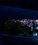 Filename=gaga_28229.jpg
Filesize=753KiB
Dimensions=5472x3648
Date added=Jul 30, 2015 gaga_28229.jpg