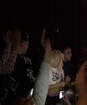 1_281429.jpg