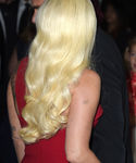 Filename=gaga_2820429.jpg
Filesize=595KiB
Dimensions=2051x3000
Date added=Oct 04, 2015 gaga_2820429.jpg
