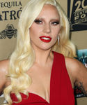 Filename=gaga_2855129.jpg
Filesize=1111KiB
Dimensions=2785x3899
Date added=Oct 04, 2015 gaga_2855129.jpg