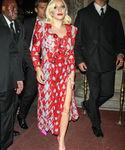 gaga_2817129.JPG