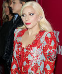 gaga_2812229.JPG