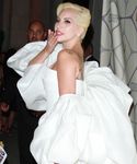 gaga_282829.jpg