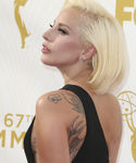 Filename=emmy_2824529.jpg
Filesize=596KiB
Dimensions=2841x3978
Date added=Sep 21, 2015 emmy_2824529.jpg
