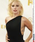 gaga_2817429.jpg