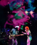 gaga_2817529.jpg