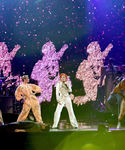 gaga_2819429.jpg
