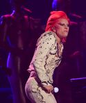 gaga_282529.jpg