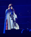 gaga_283229.jpg