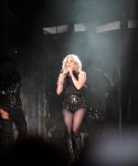 Filename=gg_2811029.jpg
Filesize=455KiB
Dimensions=2500x1667
Date added=Apr 24, 2017 gg_2811029.jpg