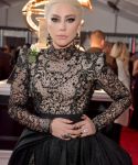 Filename=g_281029.jpg
Filesize=1710KiB
Dimensions=2000x3000
Date added=Jan 29, 2018 g_281029.jpg