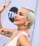 Filename=1_2877729.JPG
Filesize=840KiB
Dimensions=4966x3311
Date added=Feb 28, 2019 1_2877729.JPG