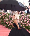 Filename=1_2820929.jpg
Filesize=1594KiB
Dimensions=2709x4267
Date added=May 07, 2019 1_2820929.jpg