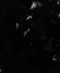 Filename=g_2817429.png
Filesize=261KiB
Dimensions=1920x1080
Date added=Feb 15, 2018 g_2817429.png