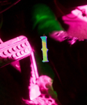 1_2822229.png