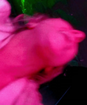 1_2827029.png