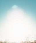 1_281229.png
