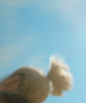 Filename=1_2824829.png
Filesize=425KiB
Dimensions=1920x1080
Date added=Feb 12, 2017 1_2824829.png