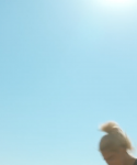 Filename=1_2825429.png
Filesize=210KiB
Dimensions=1920x1080
Date added=Feb 12, 2017 1_2825429.png