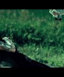 lady_gaga_031.jpg