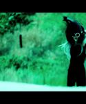 Filename=lady_gaga_222.jpg
Filesize=205KiB
Dimensions=1920x1080
Date added=Aug 18, 2011 lady_gaga_222.jpg
