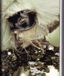 Filename=lady_gaga_030.jpg
Filesize=819KiB
Dimensions=1274x1753
Date added=Aug 17, 2010 lady_gaga_030.jpg