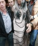 Filename=lady_gaga_046.jpg
Filesize=48KiB
Dimensions=286x501
Date added=Oct 23, 2010 lady_gaga_046.jpg