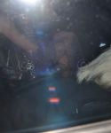 Filename=lady_gaga_004.jpg
Filesize=56KiB
Dimensions=630x412
Date added=Oct 31, 2010 lady_gaga_004.jpg