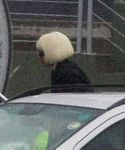 lady_gaga_001.jpg