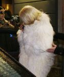 lady_gaga_009.jpg