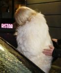 lady_gaga_010.jpg