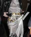 Filename=lady_gaga_010.jpg
Filesize=36KiB
Dimensions=224x500
Date added=Dec 18, 2010 lady_gaga_010.jpg