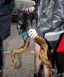 Filename=lady-gaga-015.jpg
Filesize=1670KiB
Dimensions=2600x3174
Date added=Feb 27, 2010 lady-gaga-015.jpg