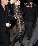 Filename=lady_gaga_041.jpg
Filesize=937KiB
Dimensions=2000x3000
Date added=Apr 24, 2011 lady_gaga_041.jpg