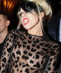 Filename=lady_gaga_001.jpg
Filesize=668KiB
Dimensions=1885x2841
Date added=Apr 24, 2011 lady_gaga_001.jpg