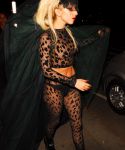 Filename=lady_gaga_045.jpg
Filesize=1589KiB
Dimensions=2344x3752
Date added=May 13, 2011 lady_gaga_045.jpg