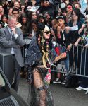 Filename=lady_gaga_060.jpg
Filesize=123KiB
Dimensions=543x600
Date added=May 24, 2011 lady_gaga_060.jpg