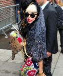Filename=lady_gaga_073.jpg
Filesize=93KiB
Dimensions=444x600
Date added=May 24, 2011 lady_gaga_073.jpg