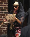 Filename=lady_gaga_115.jpg
Filesize=44KiB
Dimensions=365x522
Date added=Oct 08, 2011 lady_gaga_115.jpg
