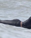 lady_gaga_097.jpg